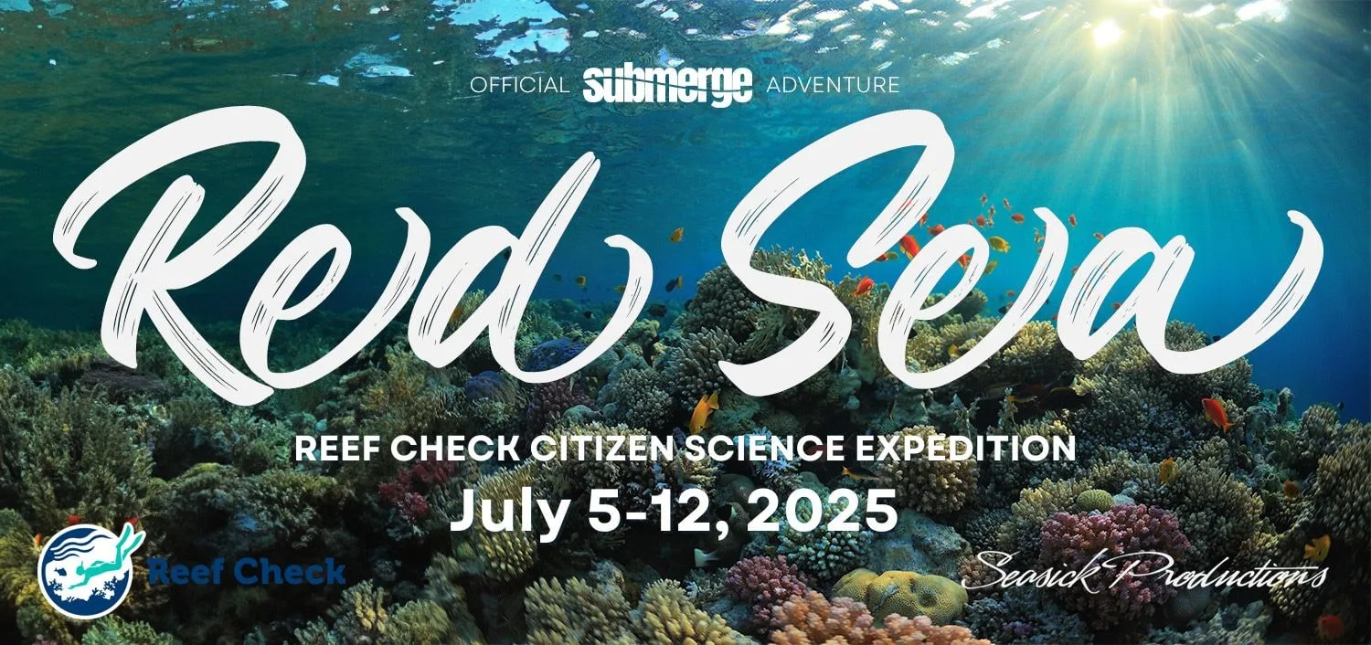 2024 Recap — 54 redseabanner