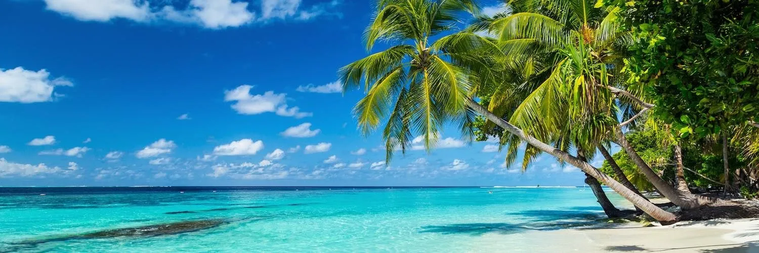 Maldives 2026: Underwater Modeling Adventure — 73 image asset6